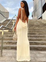 Backless spaghetti strap slim maxi dress - Rown