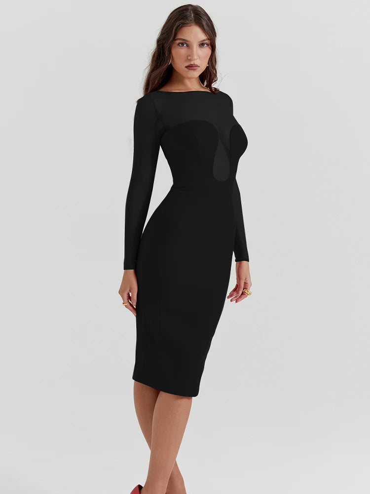 See Through Mesh Patchwork Long Sleeve Midi Dress Rown