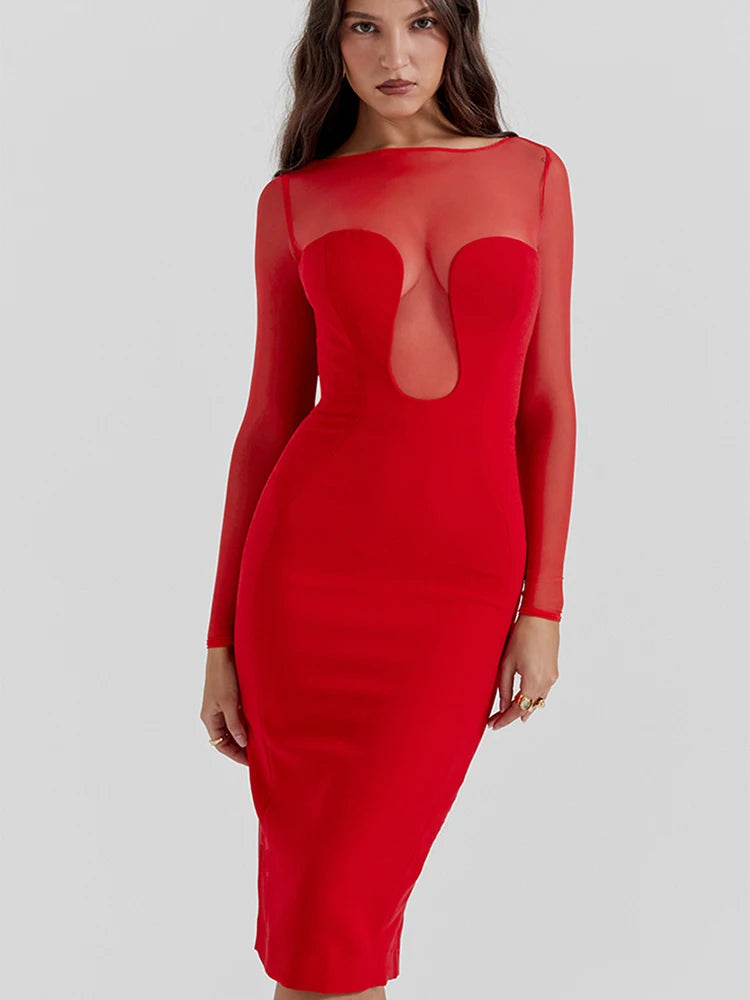 See Through Mesh Patchwork Long Sleeve Midi Dress Rown