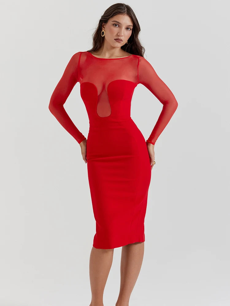 See Through Mesh Patchwork Long Sleeve Midi Dress Rown