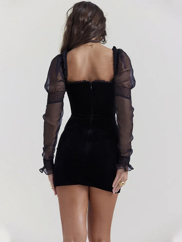 Square Neck Mesh Long Sleeve Slim Fit Mini Dress Rown