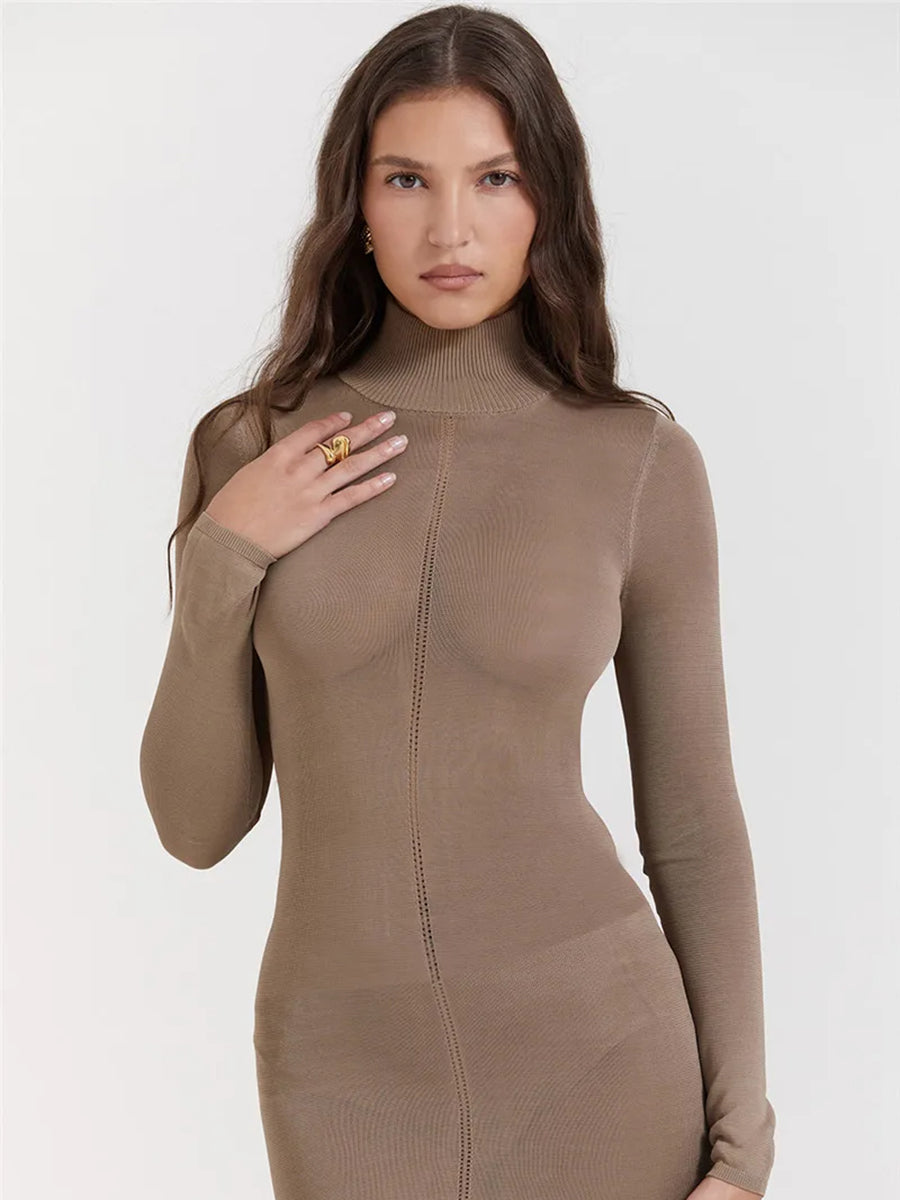 Turtleneck Backless Bodycon Long Sleeve Maxi Dress Rown