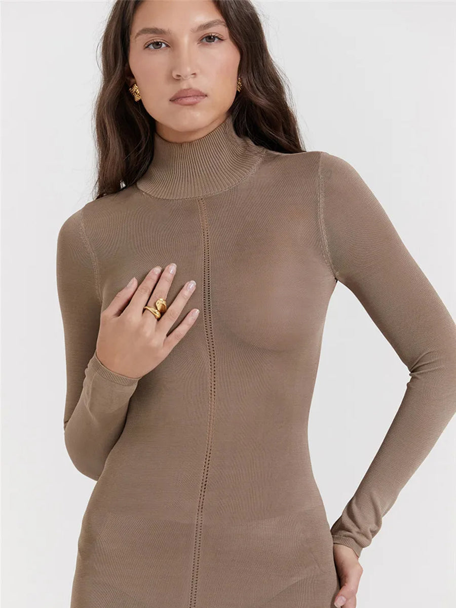 Turtleneck Backless Bodycon Long Sleeve Maxi Dress Rown