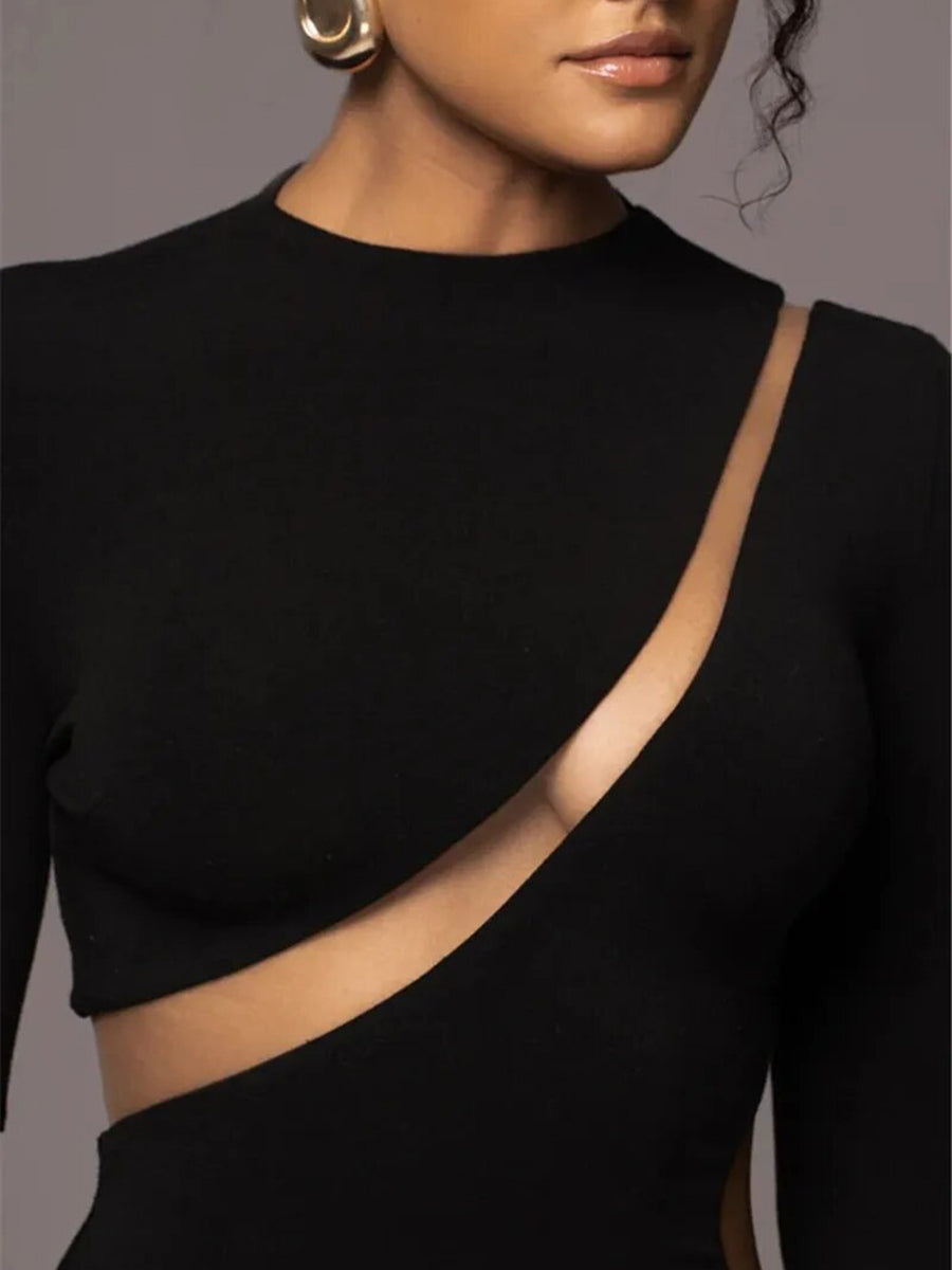 Turtleneck Long Sleeve Hollow Out Bodycon Maxi Dress Rown