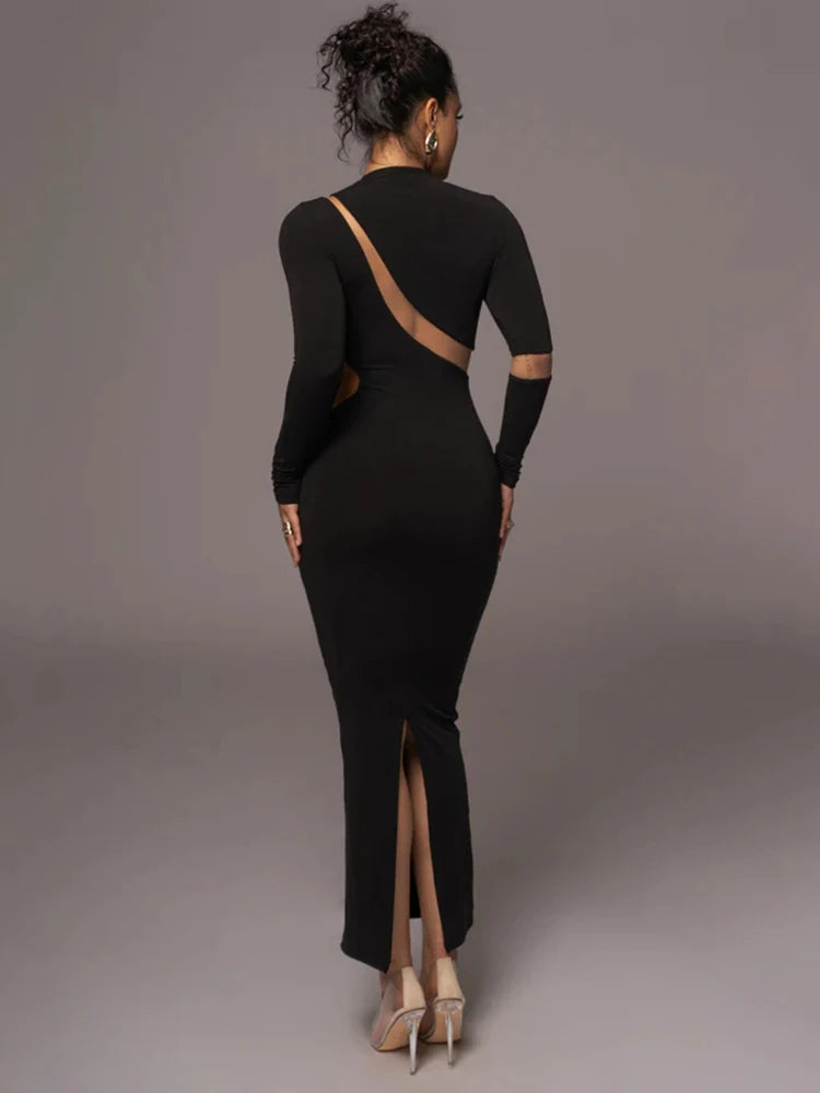 Turtleneck Long Sleeve Hollow Out Bodycon Maxi Dress Rown