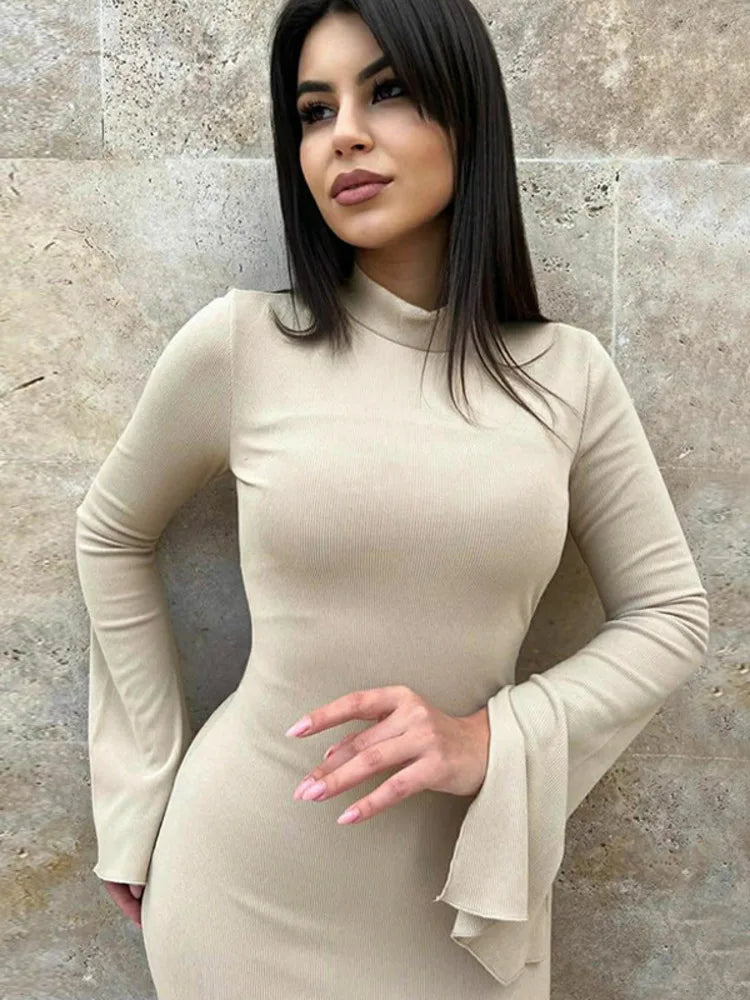 Turtleneck Long Sleeve Ribbed Bodycon Maxi Dress Rown