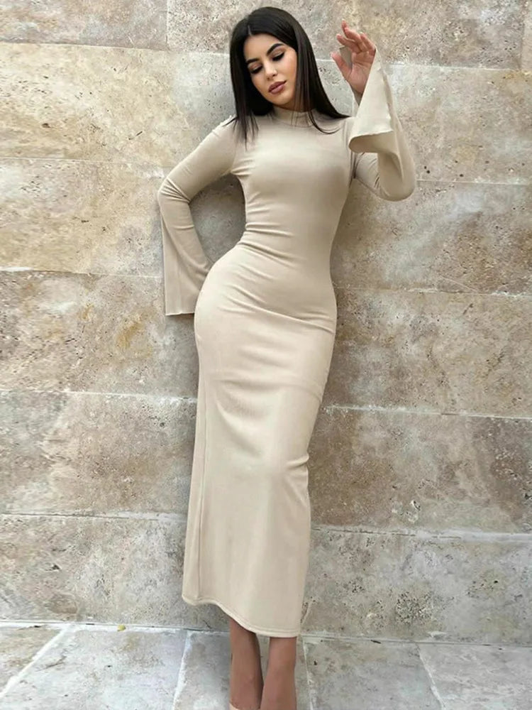 Turtleneck Long Sleeve Ribbed Bodycon Maxi Dress Rown