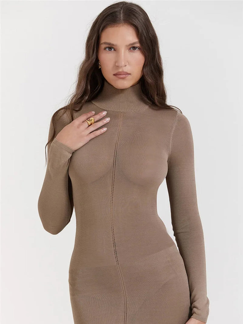 Turtleneck Backless Bodycon Long Sleeve Maxi Dress - Rown