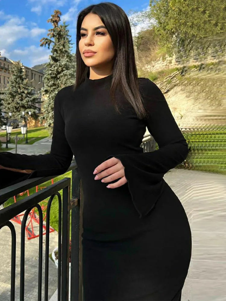 Turtleneck Long Sleeve Ribbed Bodycon Maxi Dress - Rown